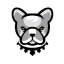 PIT币 Logo