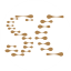 SCT币 Logo