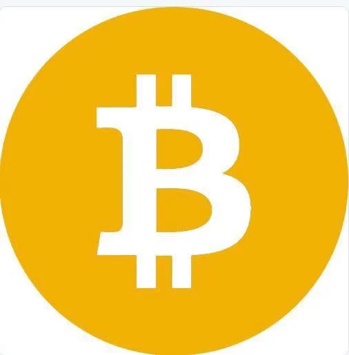 BSV币 Logo