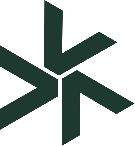 VSN LOGO