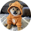 DOG LOGO