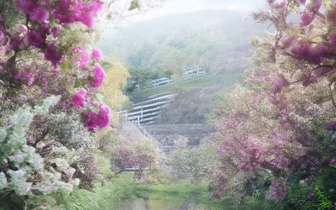 枫之谷链游社交互动系统：边打怪边交朋友的快乐秘籍