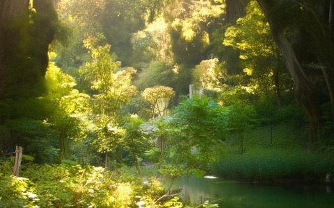 枫之谷链游社交互动系统到底有多好玩？玩家实测体验分享