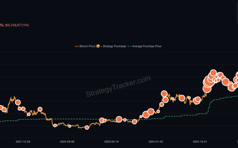 Michael Saylor在市场下挫中再次暗示购入比特币（BTC）