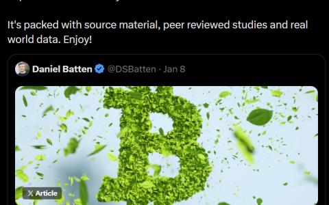 Paradigm将比特币（BTC）挖矿重新定义为电网资产，而非能源消耗