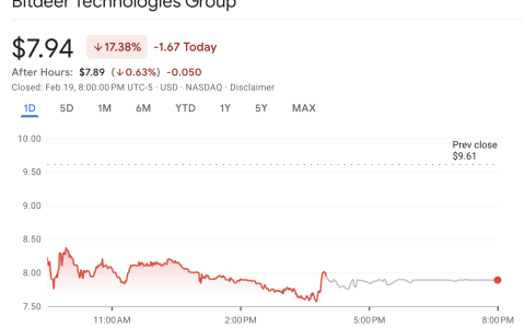 Bitdeer在完成3亿美元债务发行后，股价暴跌17%