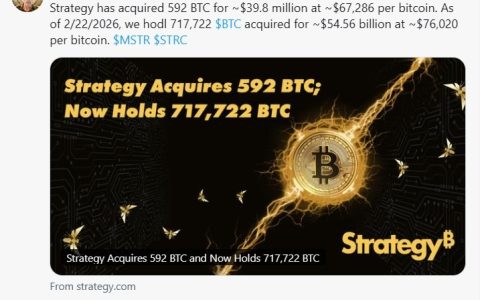 第100次出手！Strategy再斥资4000万美元买入592枚比特币（BTC）
