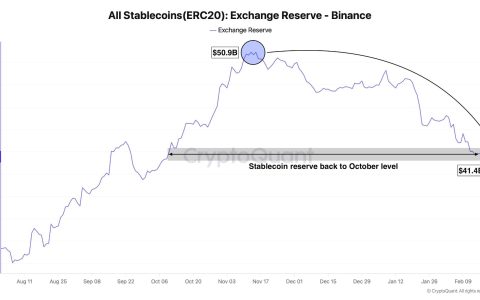自十一月以来，币安稳定币储备已下降19%