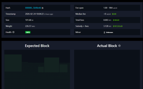 独立比特币（BTC）矿工利用租赁算力获得超过20万美元区块奖励
