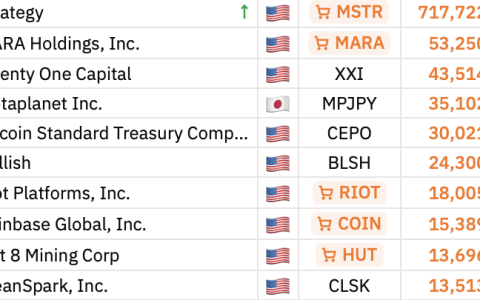 Hut 8第四季度由盈转亏，算力收入占比提升