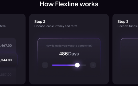 Kraken为其专业用户推出定息加密货币贷款