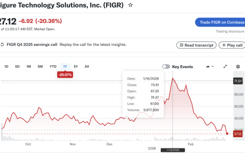 Figure科技股因四季度业绩喜忧参半暴跌20%