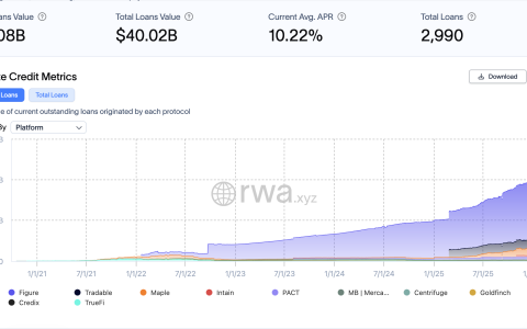 加密货币高管表示，加密货币金库公司预计将在2026年出现整合