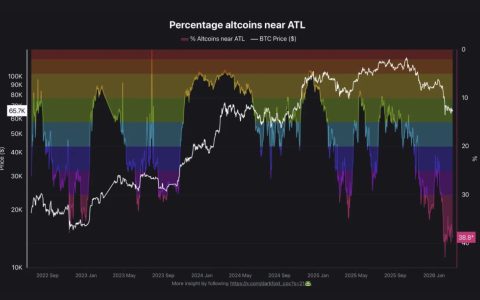 分析师称，38% 的山寨币接近历史低点，比 FTX 崩盘时期更为惨淡