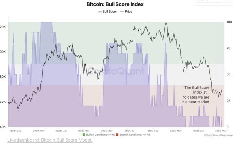 比特币（BTC）回暖行情面临阻力，分析师称熊市仍在持续
