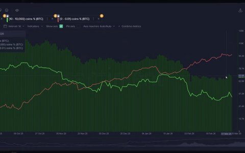 Santiment：比特币（BTC）回调或尚未结束，散户在价格低于7万美元时加大买入力度