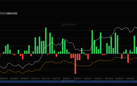 美国现货比特币（BTC）ETF五个月来首次连续两周获资金净流入