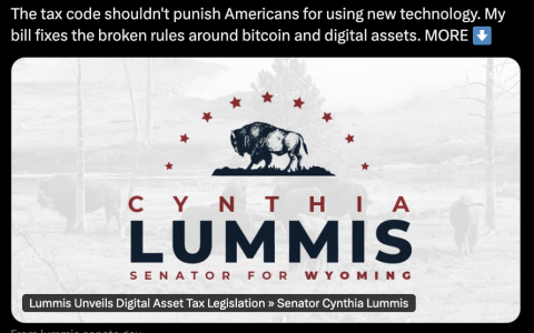 怀俄明州参议员在市场结构讨论中重新激起加密货币税收豁免辩论