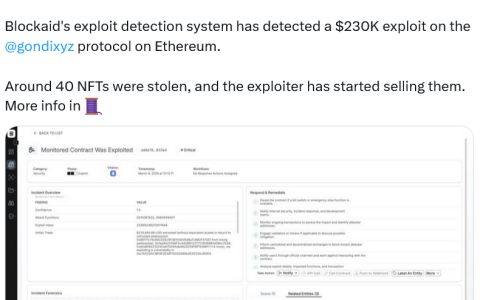 NFT 借贷协议 Gondi 称平台在遭受 23 万美元攻击后已得到安全保障