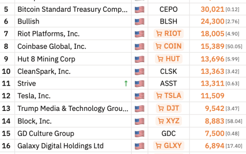 KuCoin上线追踪特斯拉与Strategy股票的永续合约