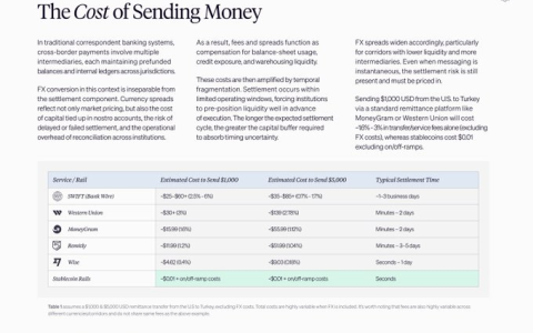 稳定币将取代传统外汇通道，但资金出场仍是瓶颈