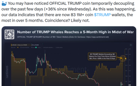 特朗普（TRUMP）迷因币（Memecoin）巨鲸在海湖庄园晚宴前集中涌入