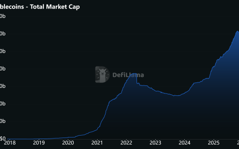 RedotPay在融资谈判和IPO计划期间为团队重组辩护
