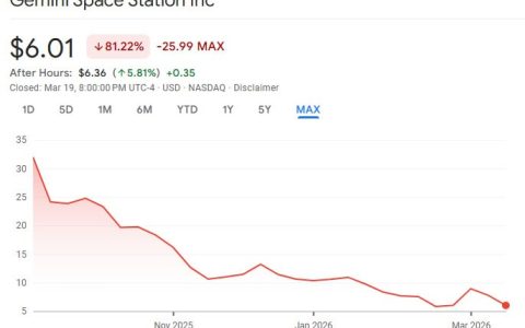Gemini因上市后战略转变及股价下跌被起诉
