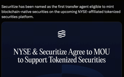 保守与激进：纳斯达克、纽交所的 Web3 路线之争，代币化是终局？