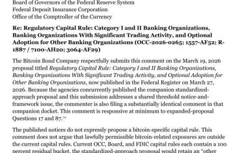 Pierre Rochard警告美国监管机构关注巴塞尔修订中的比特币（BTC）缺口