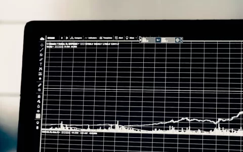 美国 5 月 CPI 数据即将公布：美联储加息预期重燃，比特币与黄金同步承压