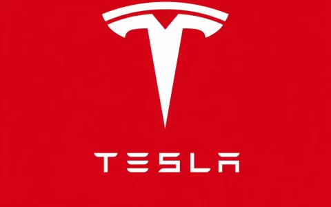 Tesla 股价单日暴涨 8.46%：Robotaxi 如何重塑汽车公司的估值逻辑？