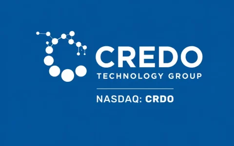 CRDO 大涨 10.69%  背后：为什么 AI 数据中心“网络互联”正在成为新的瓶颈？