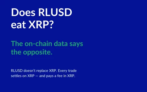 Evernorth 报告：RLUSD 非 XRP 竞争对手，六个月交易量达 9 亿美元