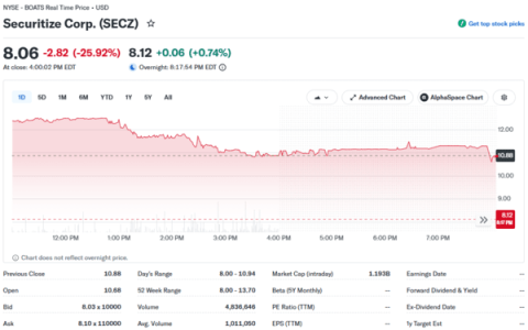 Securitize 股票在上市首日高点后于纽交所暴跌 25.92%