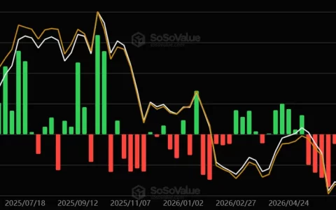 美国现货比特币ETF结束连续八周资金流出，分析师：机构需求仍待复苏