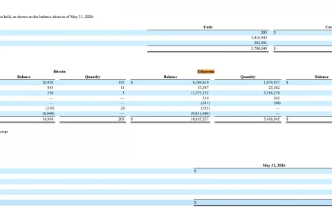 Bitmine 上季度以太坊质押收入达 4570 万美元，占总收入的 98%