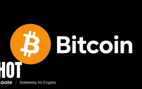 超 356 万枚 BTC 十年未动：Bitcoin 休眠供应占比 17.7% 意味着什么？
